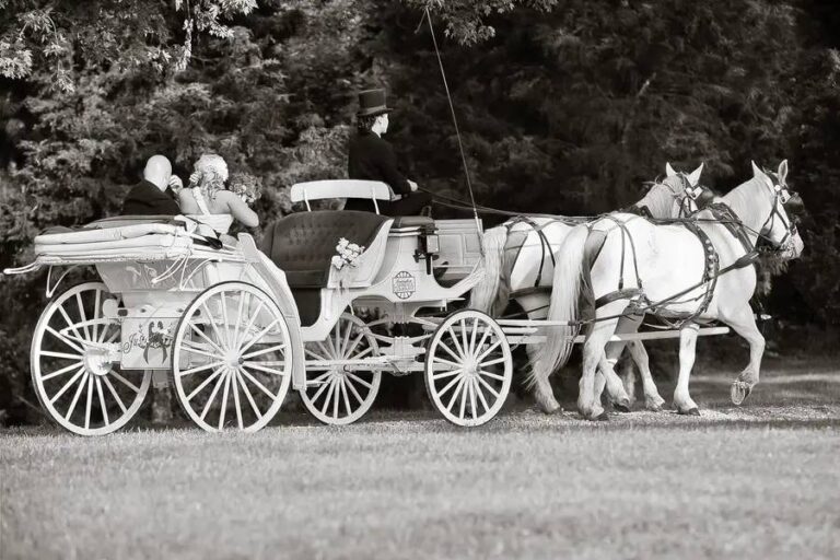 Outside Vendors Entertainment