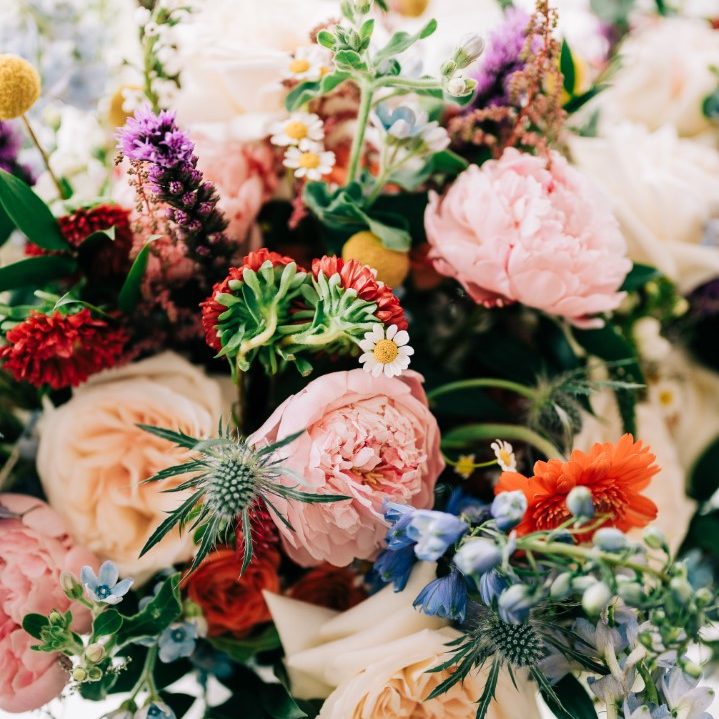 Close view of a garden-style bouquet of blush peonies, garden roses, blue thistle and orange blooms
