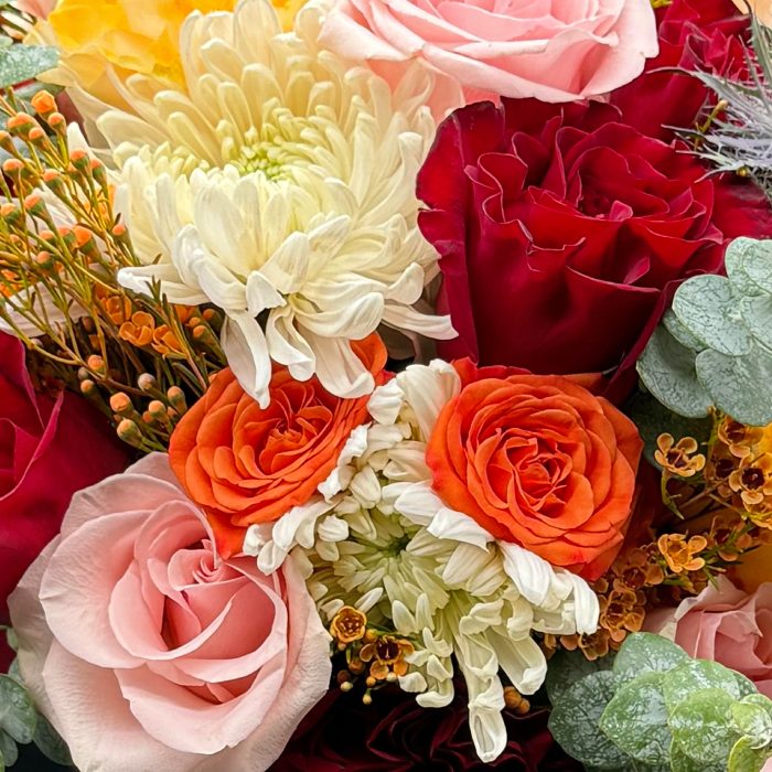 Close view of red, pink and orange roses with ivory chrysanthemums and eucalyptus